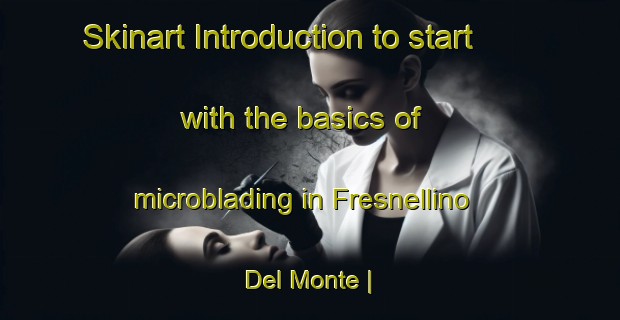 Skinart Introduction to start with the basics of microblading in Fresnellino Del Monte | MicrobladingTraining | MicrobladingClasses | SkinartTraining-Spain